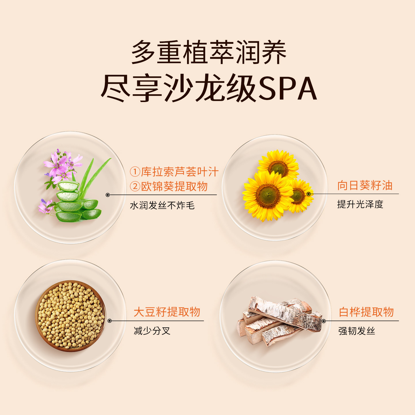 Giovanni50:50平衡护发素cgm无硅油滋润保湿锁色植物萃取抚顺毛躁,淘宝优惠券,粉丝福利购,淘宝优惠卷