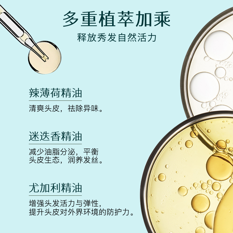 Giovanni茶树控油洗发水露头发油腻克星无硅油男士浅香蓬松洗头膏