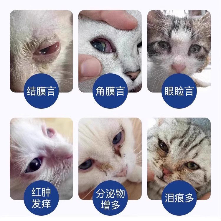 日本千寿sentrx闪粹修复凝胶宠物狗猫角膜腐溃骨疡正品眼药水,淘宝优惠券,粉丝福利购,淘宝优惠卷