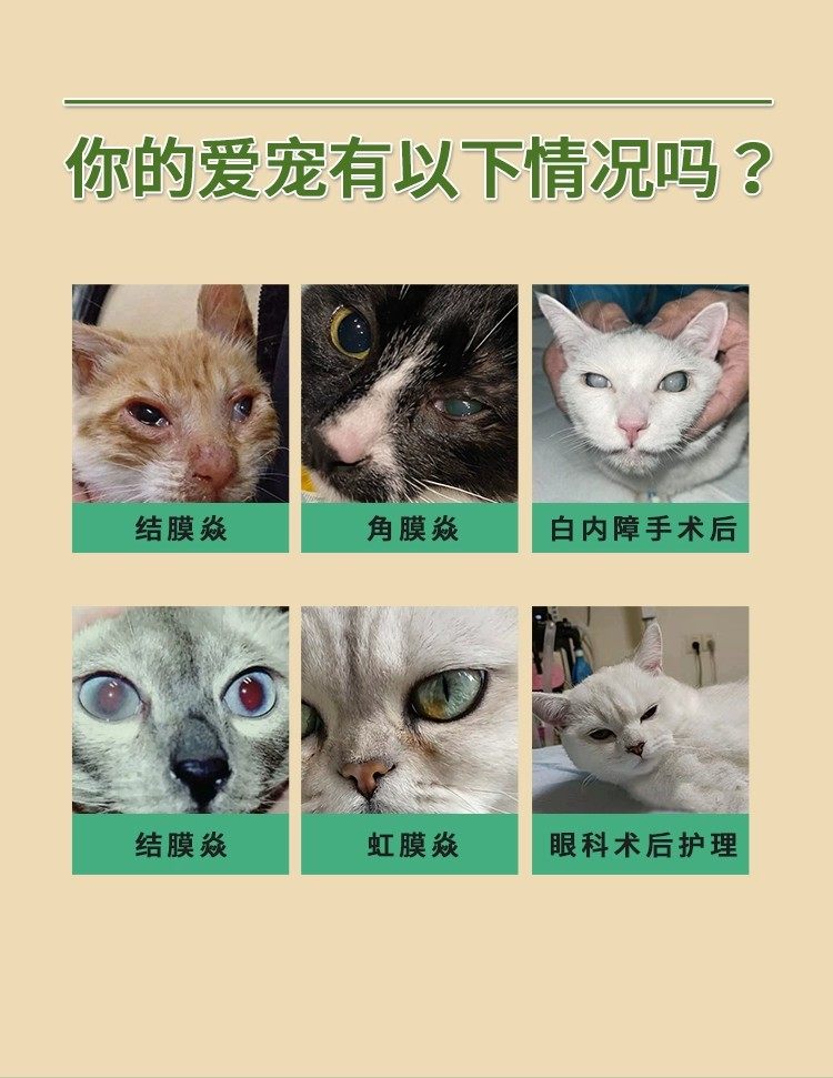 日本日东宠物猫咪狗狗点眼液葡萄膜炎虹膜焱白内障消肿术后滴眼液,淘宝优惠券,粉丝福利购,淘宝优惠卷