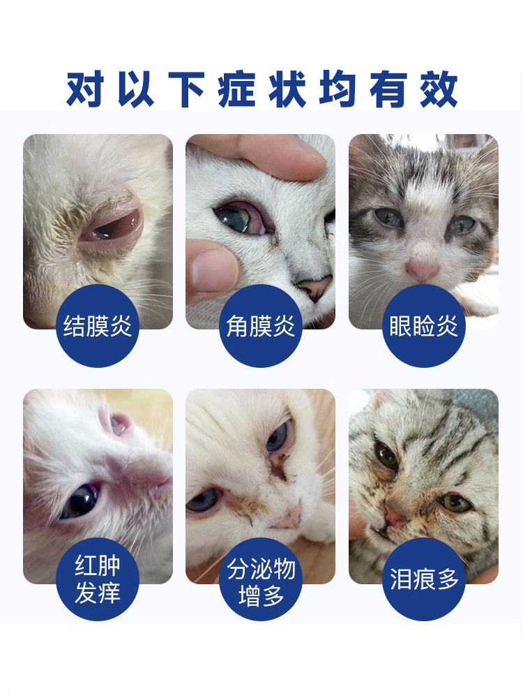 日本千寿滴眼液宠物角膜溃疡猫咪狗狗眼睛发炎贝斯特龙角膜炎粉瓶 - 图0