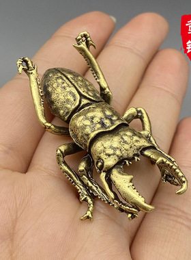 复古黄铜仿真甲虫桌面小摆件纯铜小动物夹夹虫茶宠实心昆虫小铜器