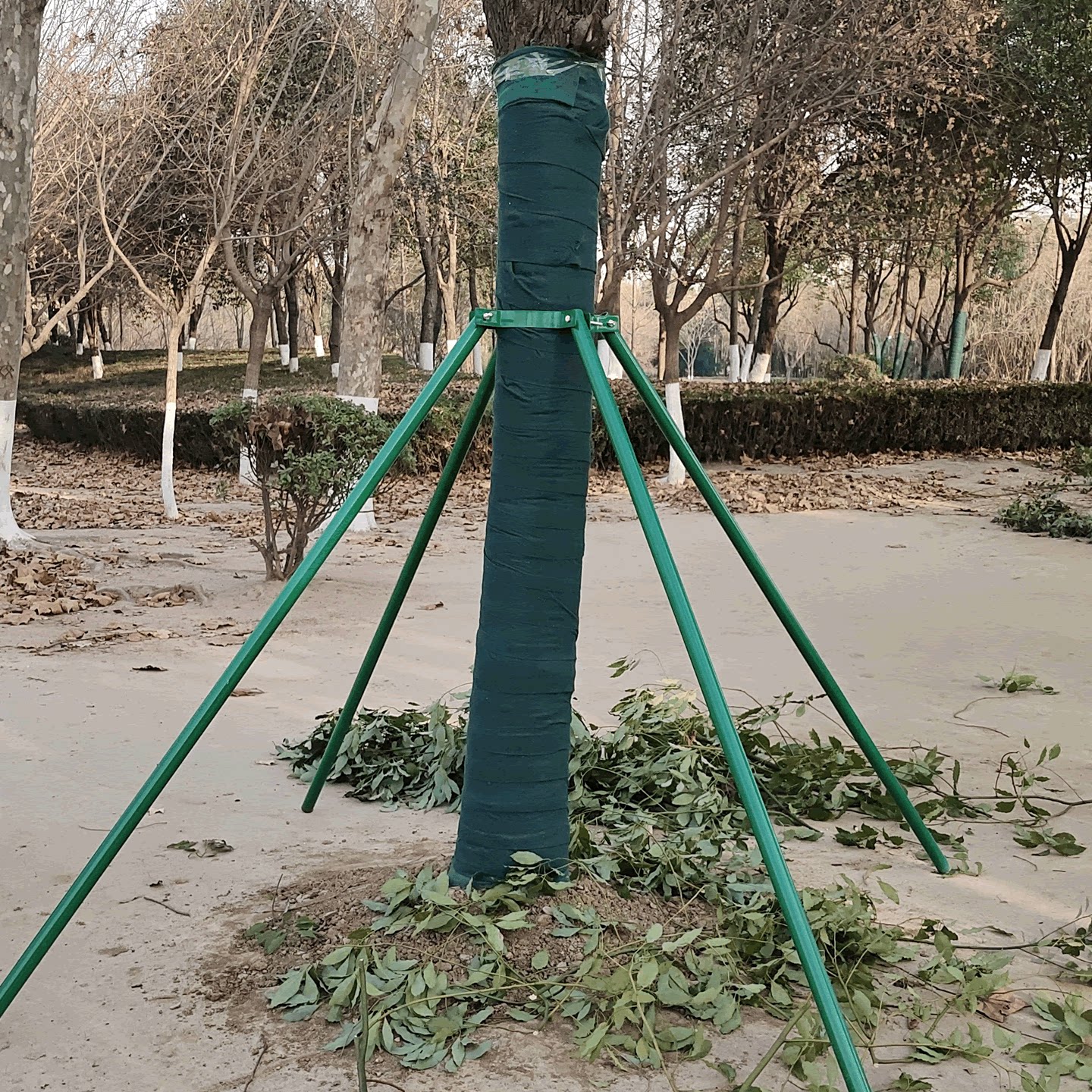 图2