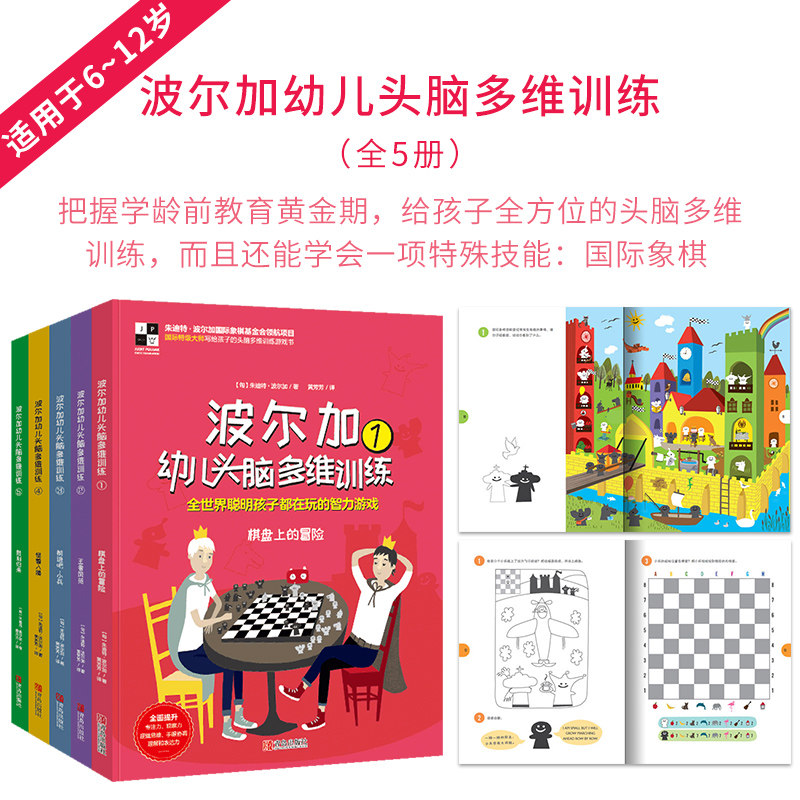 波尔加幼儿头脑多维专注力训练书全5册 儿童益智游戏数学思维训练书 幼儿全脑左右脑开发记忆力书培养孩子专注力训练逻辑思维书籍