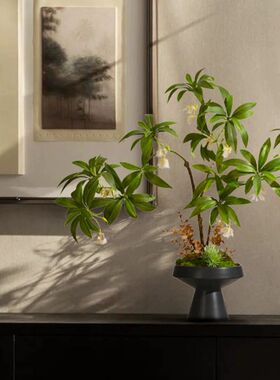 水石榕盆景仿真绿植假花高级逼真摆件玄关茶桌面中古沙发装饰摆设
