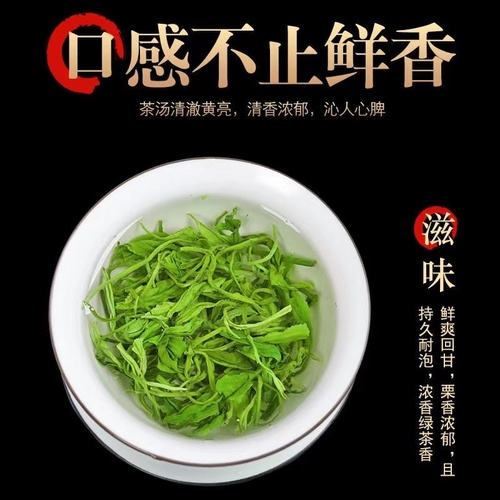 【2024绿茶一斤500g】正宗明前高山云雾绿茶叶新茶春茶毛尖茶送礼