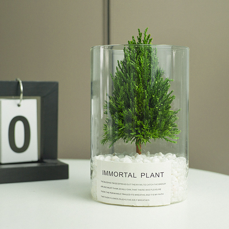 桌面小型圣诞树办公室放青松真植物摆件工位情绪稳定神器节日礼物