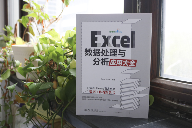 Excel数据处理与分析应用大全文员电脑办公软件教程非彩图 office零基础自学入门教材书高效办公wps函数公式表格制作-图0