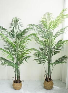 仿真植物装饰绿植北欧假散尾葵盆栽摆件树室内造景大型落地葵ins