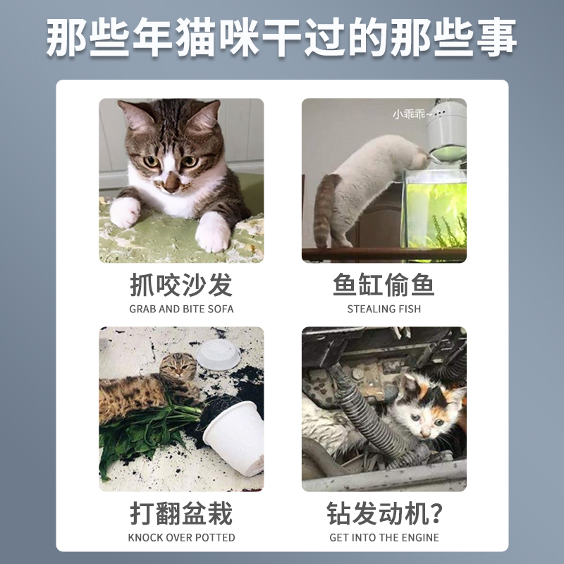 防猫刺钉上床乱尿神器驱防猫爬刺垫抓沙发保护猫狗隔离禁区刺网垫 - 图0