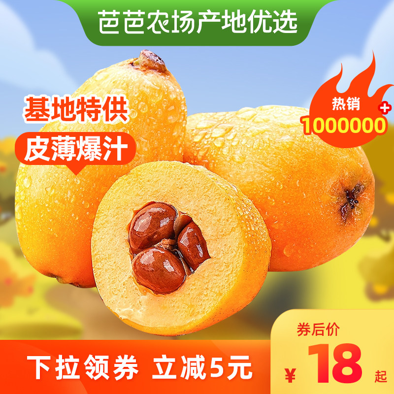 【芭芭农场产地优选】枇杷特级大果攀枝花米易果王级新鲜水果应季