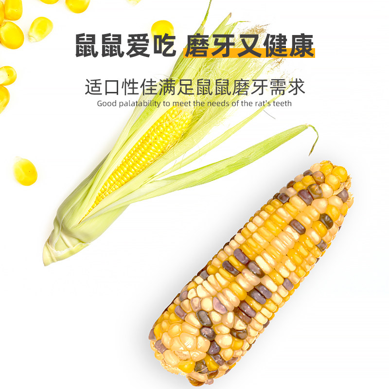 仓鼠粮零食小玉米磨牙棒金丝熊花枝鼠蜜袋鼯荷兰猪龙猫金丝熊食物,淘宝优惠券,粉丝福利购,淘宝优惠卷