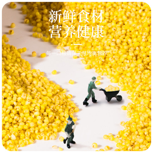 蛋小米鸡蛋米鹦鹉繁殖饲料鸟食无壳黄炒小米促进踩背玄凤牡丹营养 - 图2