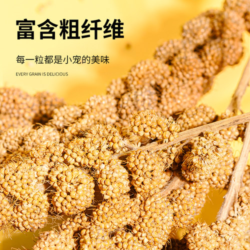 鹦鹉天然谷穗带壳黄谷子小米玄凤虎皮饲料鸟粮鸟食文鸟珍珠鸟零食 - 图2