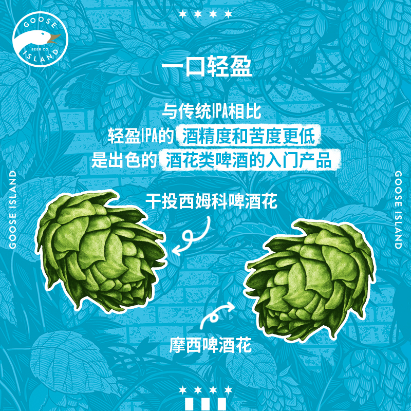 百威鹅岛嘎嘎鹅轻盈印度淡色艾尔精酿啤酒355ml*24瓶整箱旗舰店