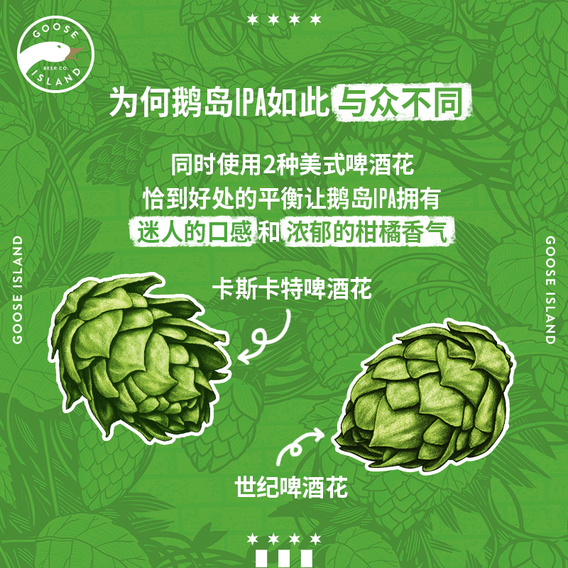 百威鹅岛ipa啤酒印度淡色艾尔小麦精酿啤酒355ml*48瓶装整箱啤酒