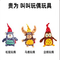 Small and mediumsized doggs are super cute and playful