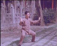 Martial Arts Instruments Chens Taijiquan Taiji Ball: the inner family haunts a 43 catty of hard power)