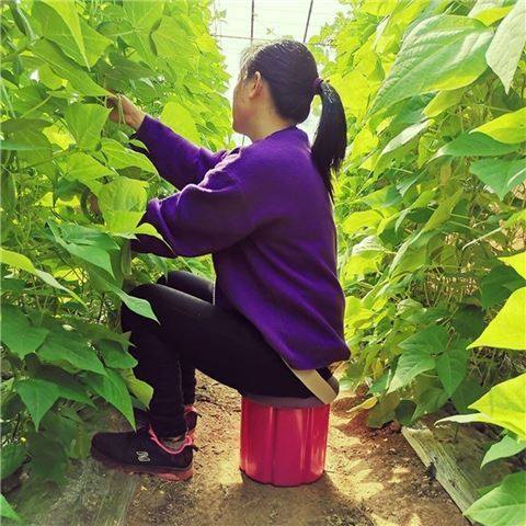 采茶摘草莓凳子种蒜墩子绑腿屁股凳农用坐垫塑料凳懒人板凳赶海凳,淘宝优惠券,粉丝福利购,淘宝优惠卷