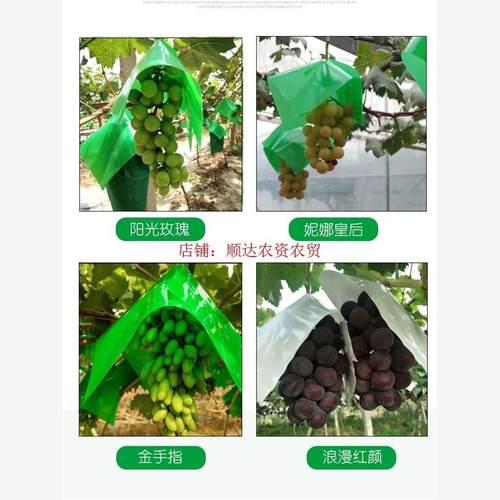 葡萄伞罩遮阳纸阳光玫瑰伞袋专用防日灼水鸟裂夏黑套袋纸帽修穗剪 - 图1