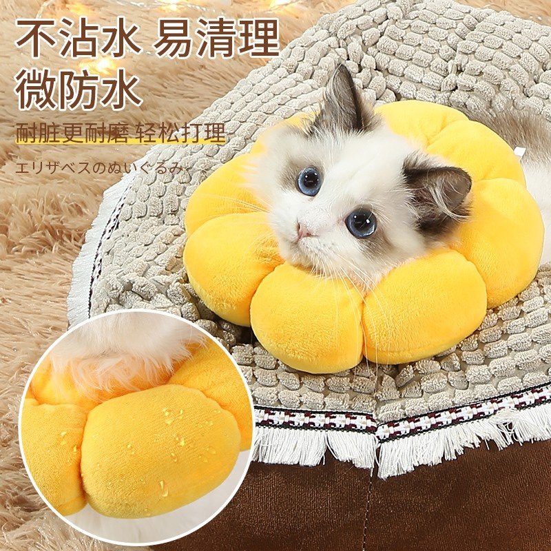 宠物猫咪伊丽莎白鼠头套可爱脖子保护套防舔保暖轻软圈绝育可吃饭,淘宝优惠券,粉丝福利购,淘宝优惠卷