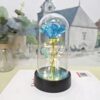 520 Preserved Flower Plastic Cover Rose Flower Gold Foil Flower Chinese Valentine's Day Holiday Gift Transparent Glitter