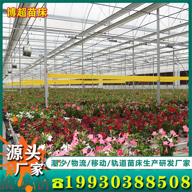 半温室 新人首单立减十元 22年10月 淘宝海外