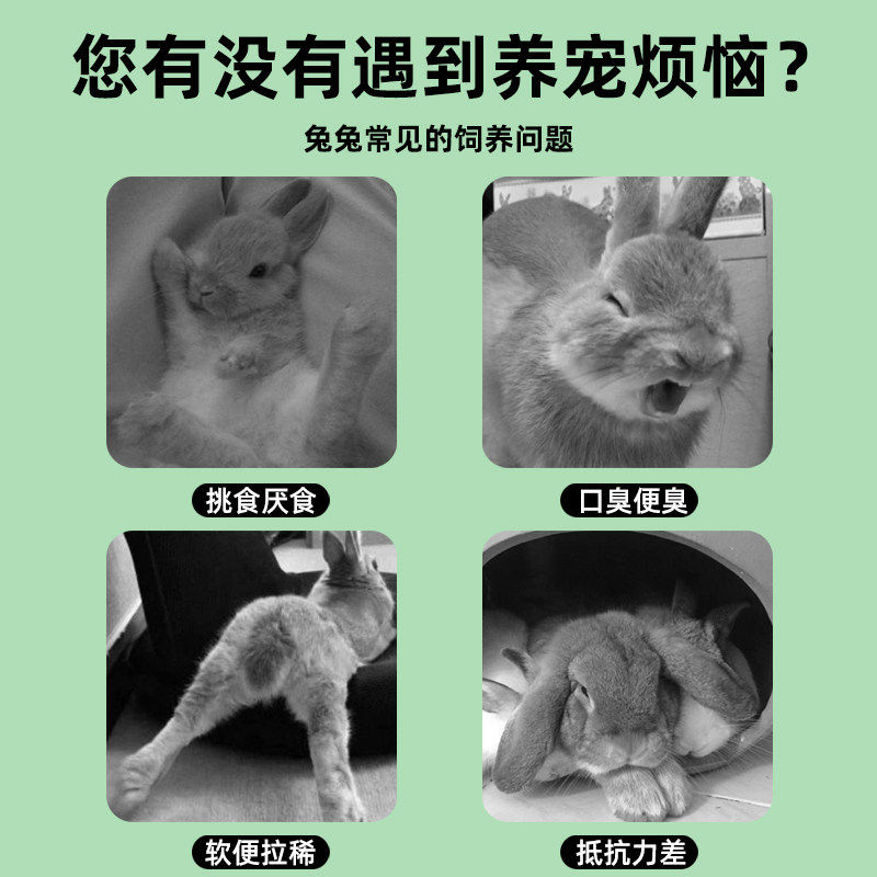 兔粮兔子饲料兔子粮食幼兔兔粮荷兰猪饲料宠物兔子用品全阶段主粮,淘宝优惠券,粉丝福利购,淘宝优惠卷