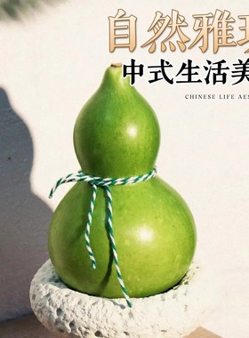 佛手柑鲜果天然香薰闻香观赏桌面