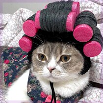 Kitty Wig Pet Headgear Puppies Small Braids Basketball Funny Hats Hair Sets Heads Adorned With Cute Freaks Fashion Accessories