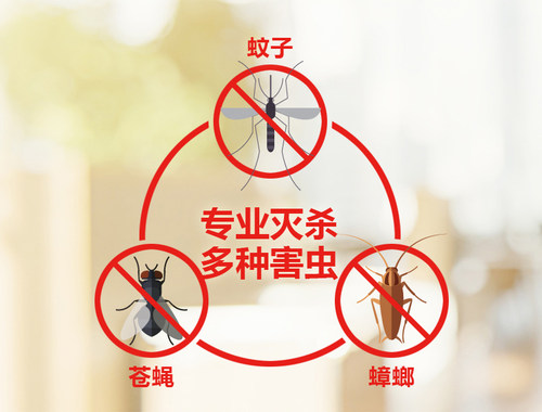 森康先正达杀蚊子苍蝇灭蟑螂正品原药家用室内进口卫生杀虫剂 - 图0
