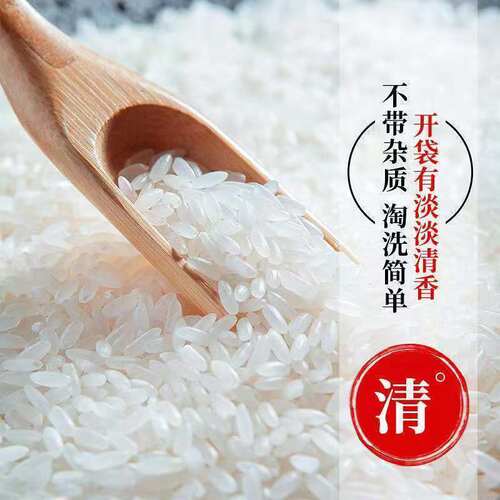 正宗五常稻香米2025年新米五常大米10斤20斤特级东北大米好吃不贵 - 图3