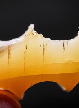 披毛犀泡酒冲水退烧非犀角鱼子纹