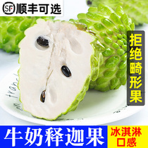 Milk pineapple Pineapple Relieved of Garfruit Fresh Fruits Tomato lychee forest for the Moni Buddha head Tropical Whole Boxes Fruit in the Season Trophies