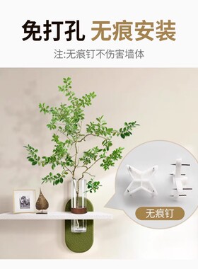 阿芝家绿植壁挂画客厅装饰画