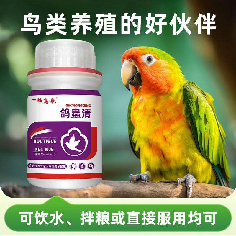 一陆高歌鸽虫清鸽用驱虫鸟用肉鸽饮水拌料养殖抖音视频号同款正品 - 图2