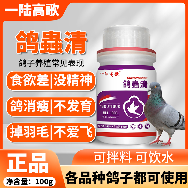 一陆高歌鸽虫清鸽用驱虫鸟用肉鸽饮水拌料养殖抖音视频号同款正品 - 图0