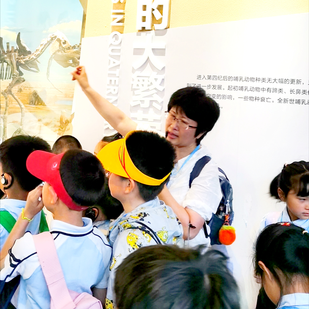 北京国家自然博物馆2.5H亲子游【至尊15人团】导游讲解研学一日游-图3