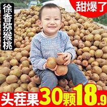 Shaanxi Brow County Xu Xiangqi Exotic Fruits Fresh When Season The Whole Box Is Now Picking Up Positive Emolitum Macaque Exotic Fruits.