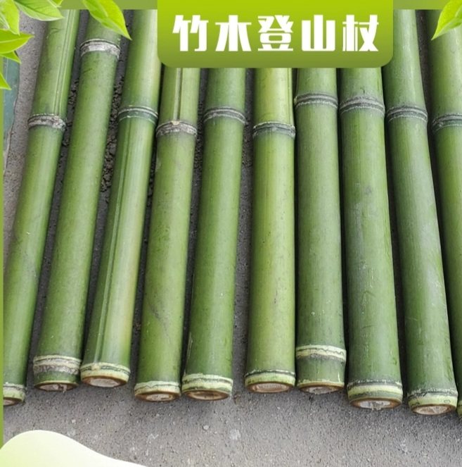 登山杖手工拐杖教鞭登山杖手工拐杖头徒徒步轻便爬山手杖竹拐杖拐