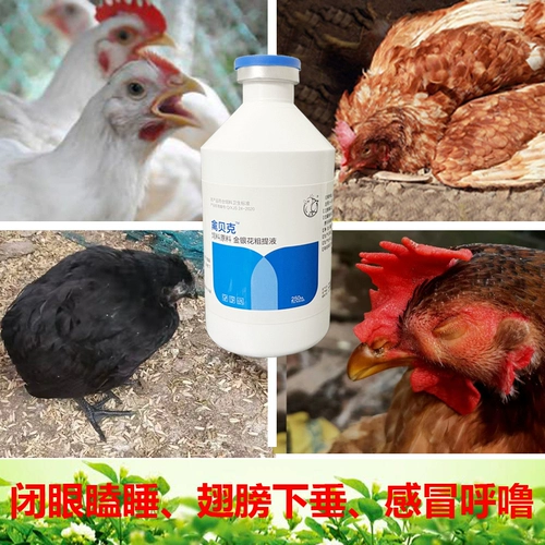 Цыпленка для приподнятия курицы курица, утка и гусиные зверя Используйте анти -вирус курицу холод и потяните бровей Новый город Эпидемия куриная чума пекарня пекарня