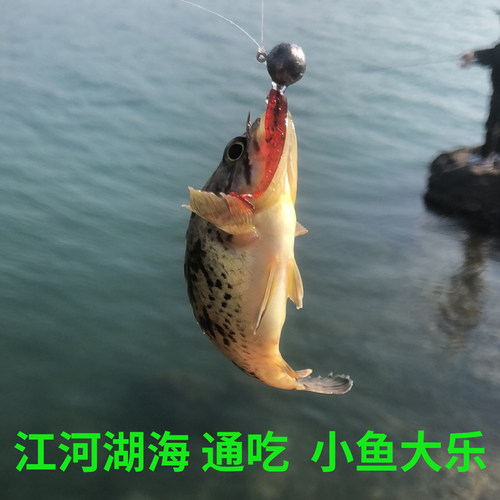 根钓路亚饵超小微物迷你t尾软饵倒钓卷尾软蛆白条海鳜鱼黑头软虫 - 图1