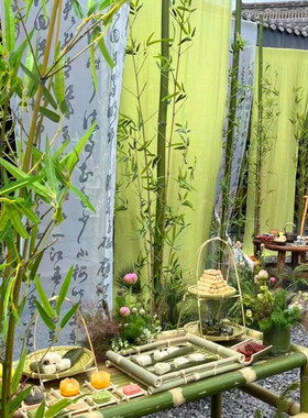 新中式国风绿色竹子屏风背景布