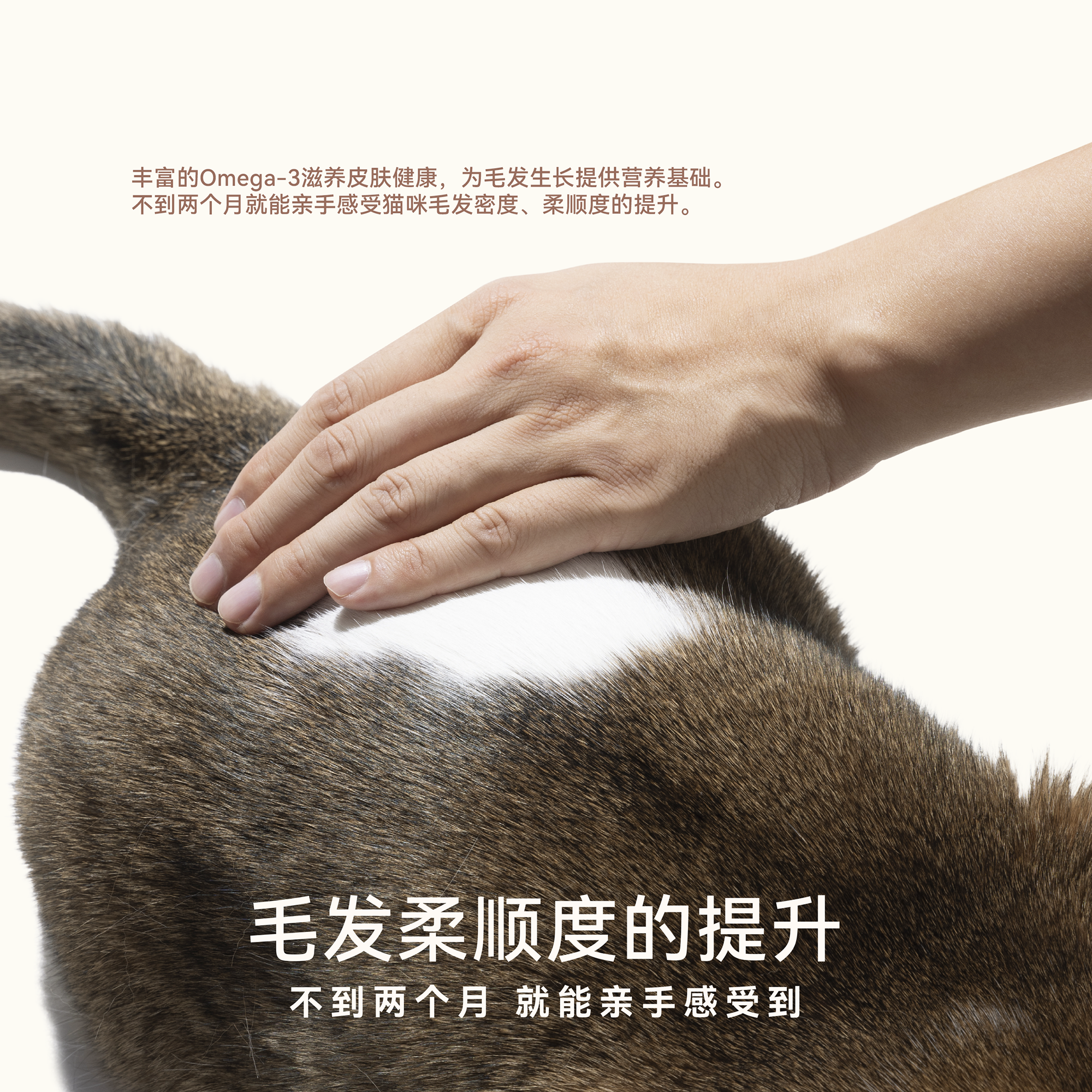 naisi奶思生骨肉风干猫粮2.0版成幼猫营养全价主粮试吃组合特惠装 - 图3