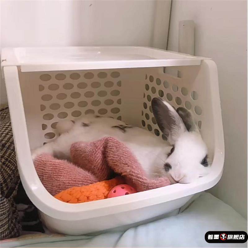 兔子猫咪躲避屋夏天窝睡床小宠透气睡眠屋宠物豚鼠小床用品,淘宝优惠券,粉丝福利购,淘宝优惠卷