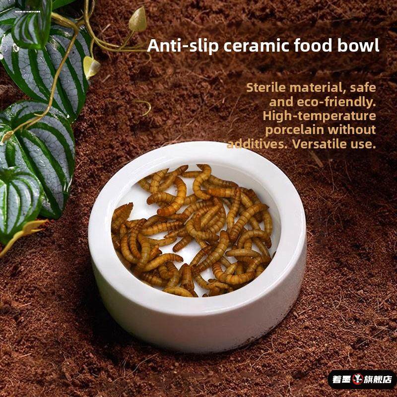 爬宠玩具蛇饮水泡澡盆角蛙守宫鬃狮防逃逸面包虫陶瓷水盆食盆两用,淘宝优惠券,粉丝福利购,淘宝优惠卷