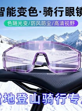 日夜两用变色骑行眼镜户外护目镜男女雪地登山防眩运动跑步防风沙