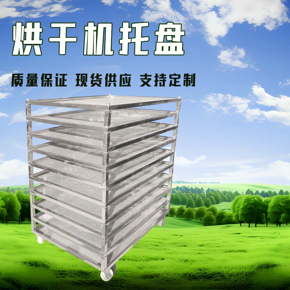 Лотки для сушилки электрической Ji Guo модель 100