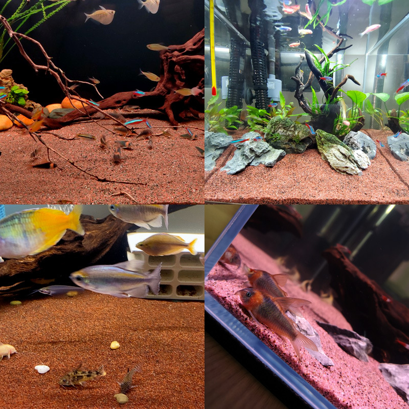 南美缸鱼缸底砂造景沙装饰原生底沙石头溪流石雨林三湖沙铁胆沙子,淘宝优惠券,粉丝福利购,淘宝优惠卷