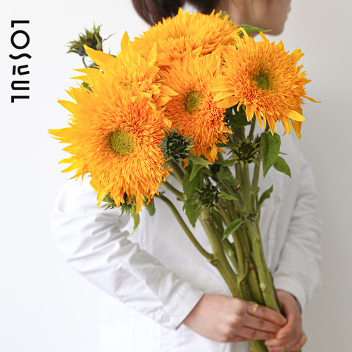 梵高向日葵泰迪油画重瓣花材多头送女朋友鲜花观赏期长礼物母亲节 - 图0